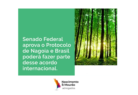 Senado Federal aprova o Protocolo de Nagoia e Brasil poderá fazer parte desse acordo internacional.
