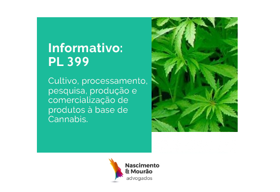 Cannabis medicinal. PL 399 avança no Congresso Nacional.