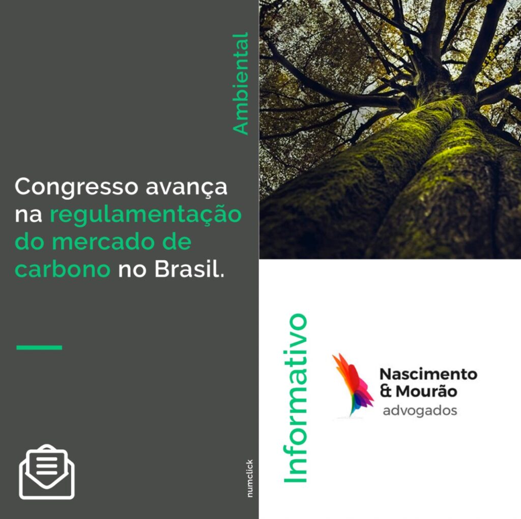 Congresso avança na regulamentação do mercado de carbono no Brasil