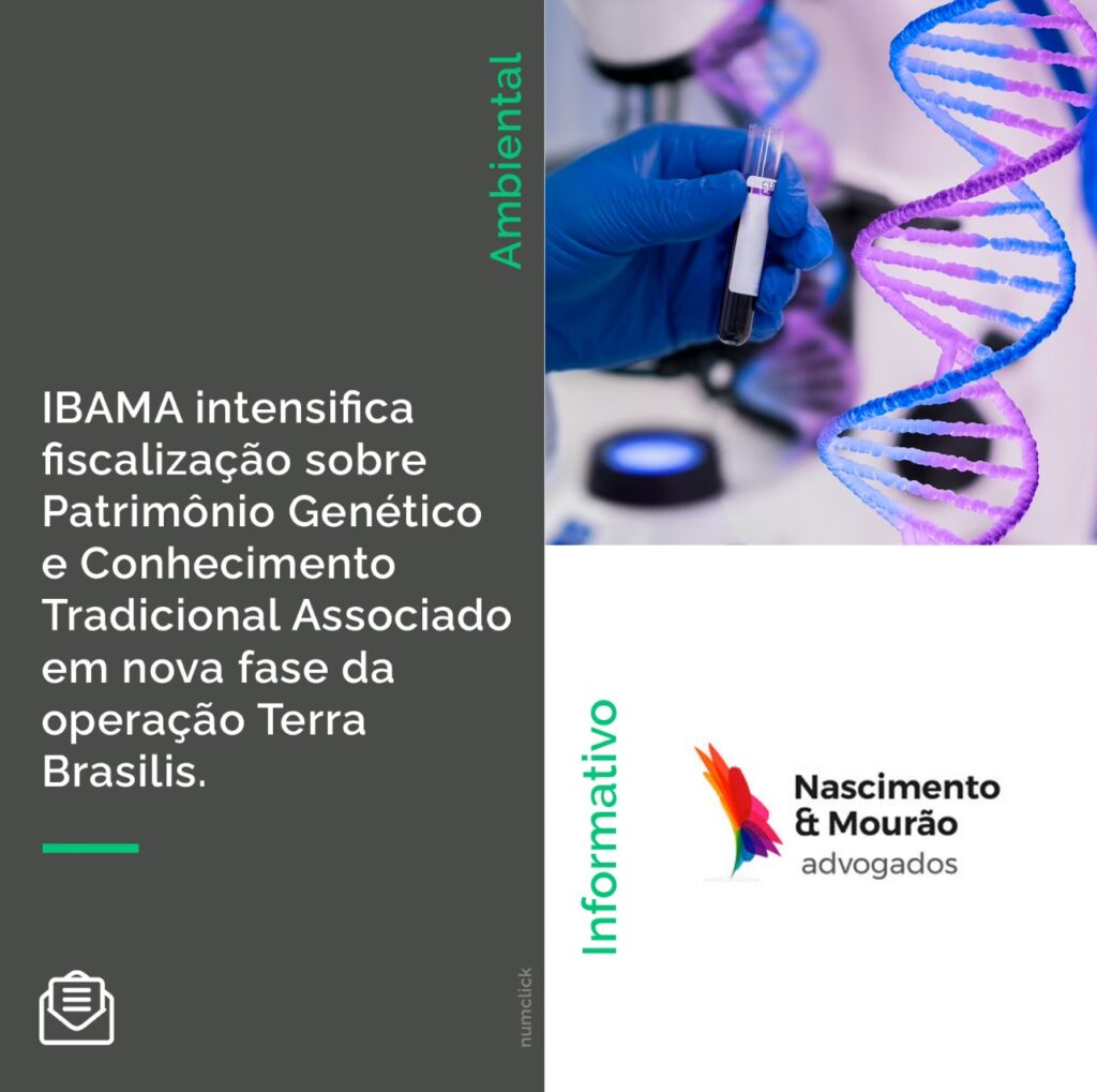 IBAMA intensifica fiscalização sobre Patrimônio Genético e Conhecimento Tradicional Associado em nova fase da operação Terra Brasilis.