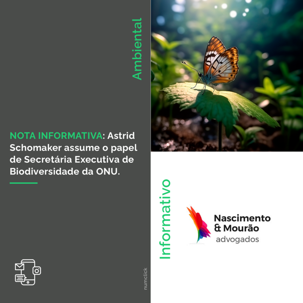 NOTA INFORMATIVA: Astrid Schomaker assume o papel de Secretária Executiva de Biodiversidade da ONU