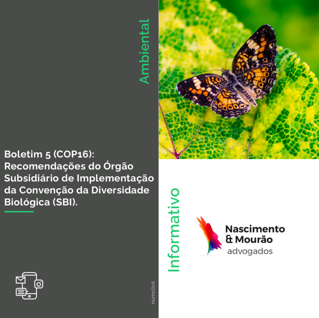 Boletim 5 (COP16):  Recomendações do Órgão Subsidiário de Implementação da Convenção da Diversidade Biológica (SBI).